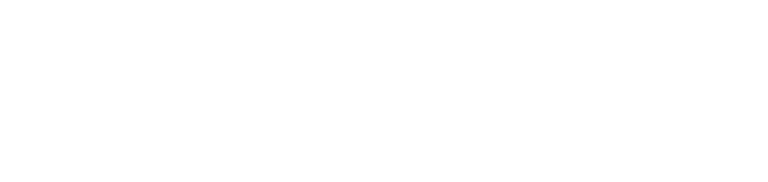 Speedway Flight Training logo